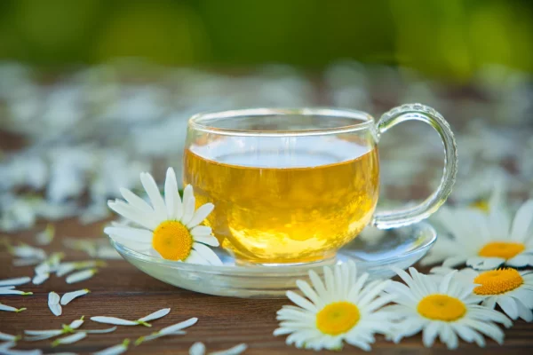 German Chamomile Tea