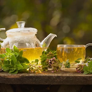 Wild Mint Tea