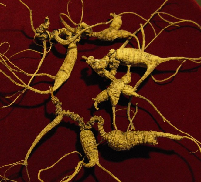 Ginseng Tea